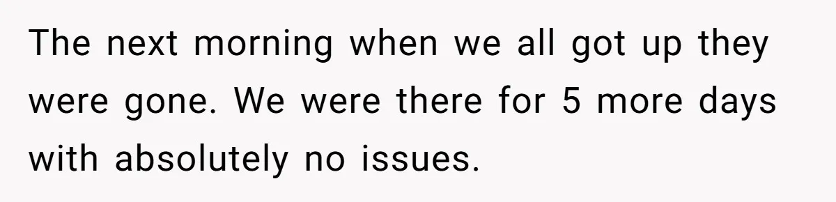 The next morning when we all got up they were gone. We were there for 5 more days with absolutely no issues.
