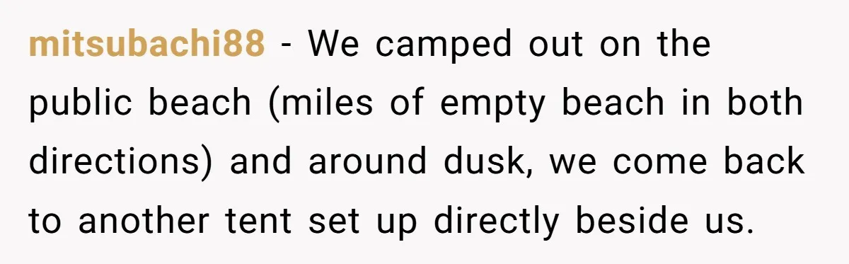 mitsubachi88 − We camped out on the public beach (miles of empty beach in both directions) and around dusk, we come back to another tent set up directly beside us.