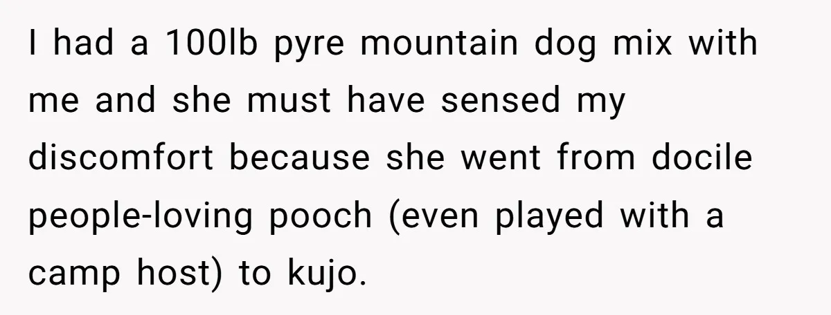 I had a 100lb pyre mountain dog mix with me and she must have sensed my discomfort because she went from docile people-loving pooch (even played with a camp host)...
