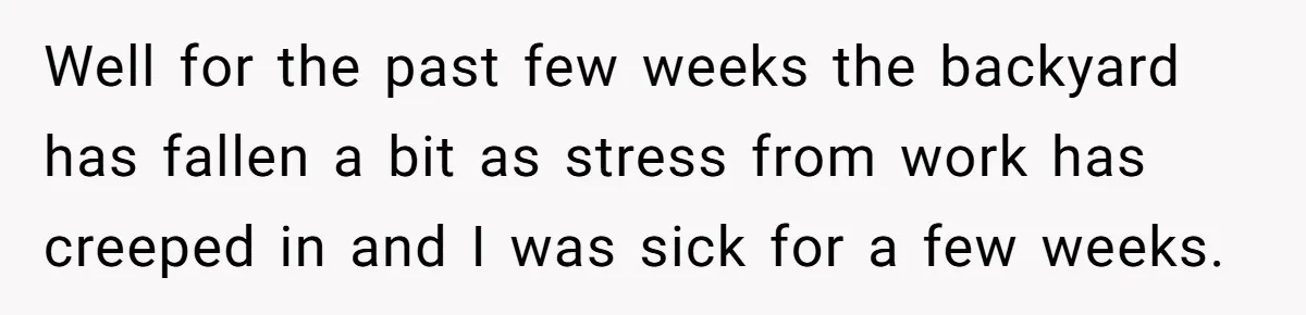 Well for the past few weeks the backyard has fallen a bit as stress from work has creeped in and I was sick for a few weeks.