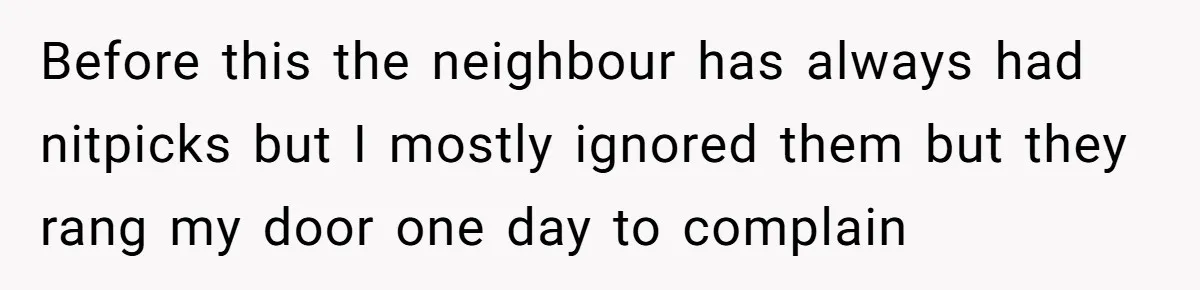Before this the neighbour has always had nitpicks but I mostly ignored them but they rang my door one day to complain