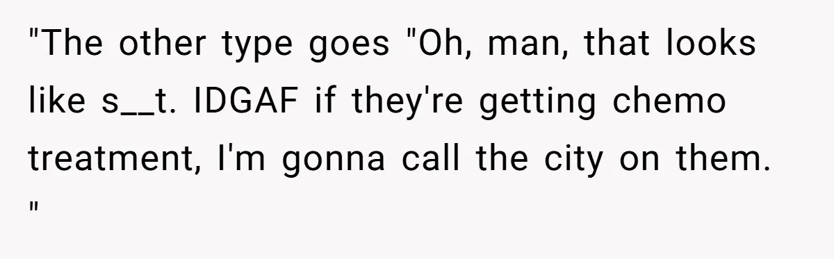 "The other type goes "Oh, man, that looks like s__t. IDGAF if they're getting chemo treatment, I'm gonna call the city on them. "