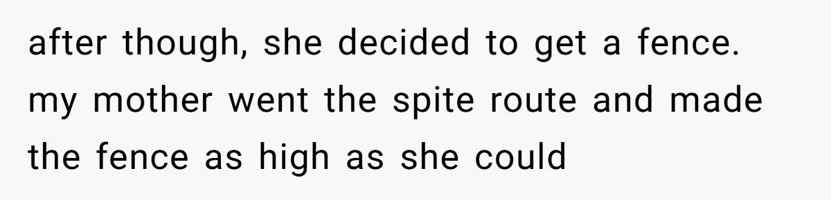 after though, she decided to get a fence. my mother went the spite route and made the fence as high as she could