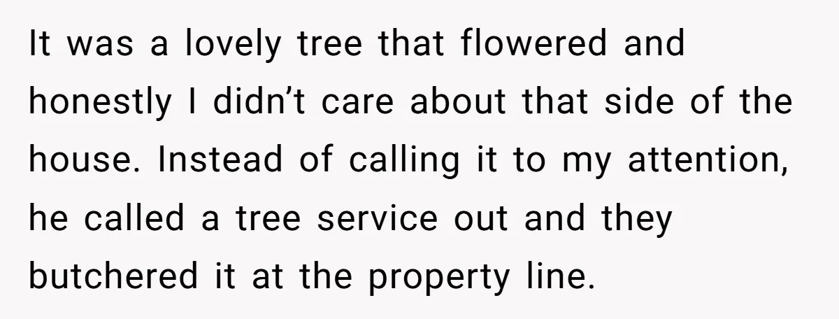 It was a lovely tree that flowered and honestly I didn’t care about that side of the house. Instead of calling it to my attention, he called a tree service...