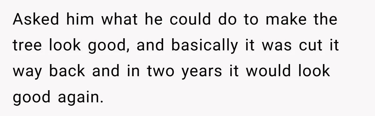 Asked him what he could do to make the tree look good, and basically it was cut it way back and in two years it would look good again.