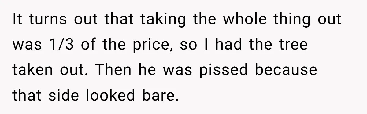 It turns out that taking the whole thing out was 1/3 of the price, so I had the tree taken out. Then he was pissed because that side looked bare.