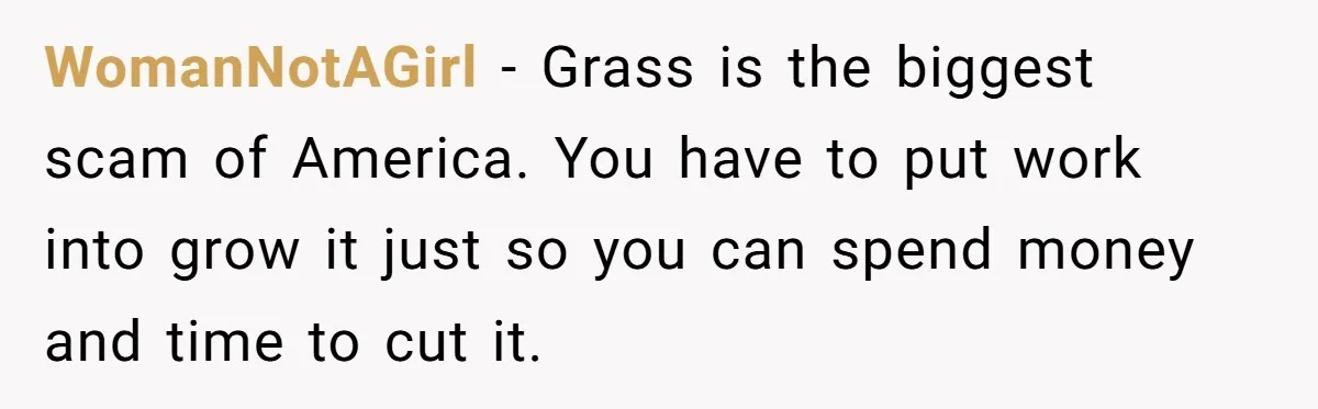 WomanNotAGirl − Grass is the biggest scam of America. You have to put work into grow it just so you can spend money and time to cut it.