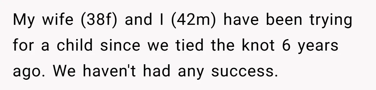 My wife (38f) and I (42m) have been trying for a child since we tied the knot 6 years ago. We haven't had any success.