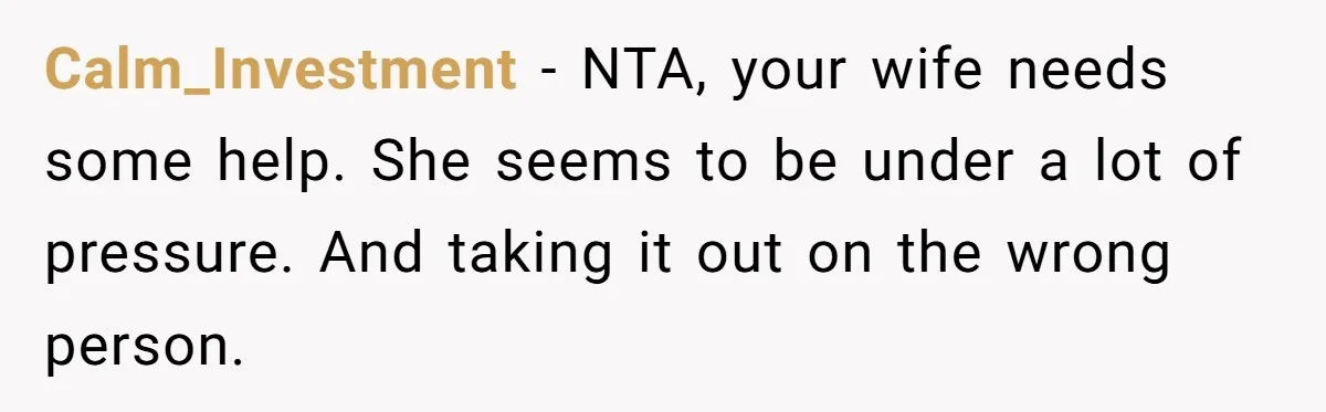 Calm_Investment − NTA, your wife needs some help. She seems to be under a lot of pressure. And taking it out on the wrong person.