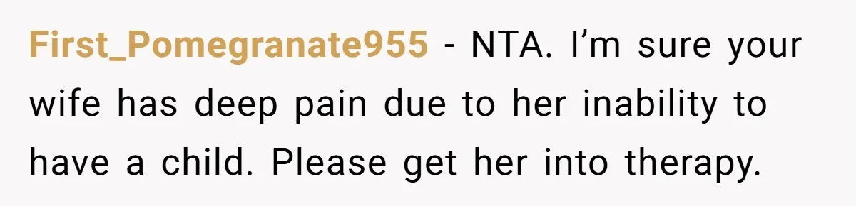 First_Pomegranate955 − NTA. I’m sure your wife has deep pain due to her inability to have a child. Please get her into therapy.