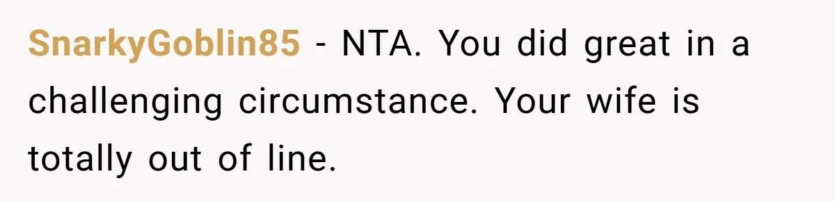 SnarkyGoblin85 − NTA. You did great in a challenging circumstance. Your wife is totally out of line.