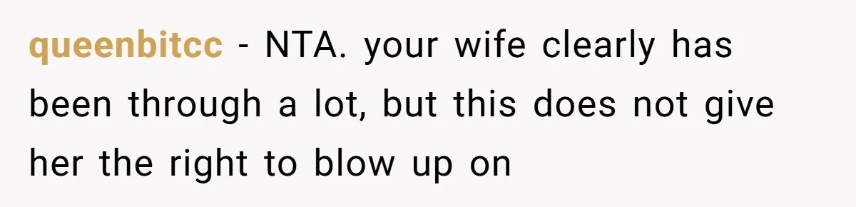 queenbitcc − NTA. your wife clearly has been through a lot, but this does not give her the right to blow up on