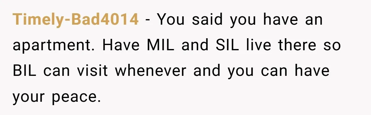 Timely-Bad4014 − You said you have an apartment. Have MIL and SIL live there so BIL can visit whenever and you can have your peace.