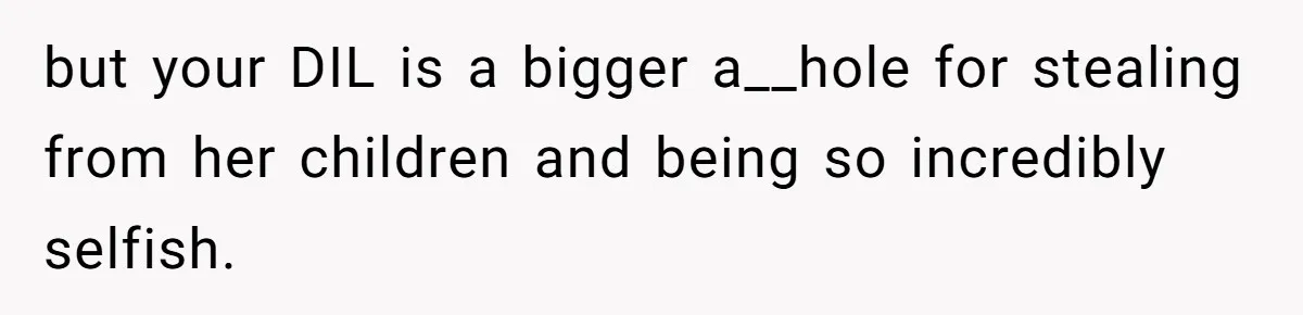 but your DIL is a bigger a__hole for stealing from her children and being so incredibly selfish.
