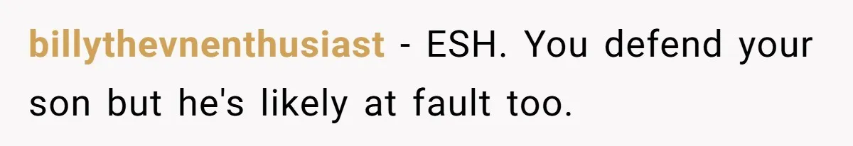 billythevnenthusiast − ESH. You defend your son but he's likely at fault too.