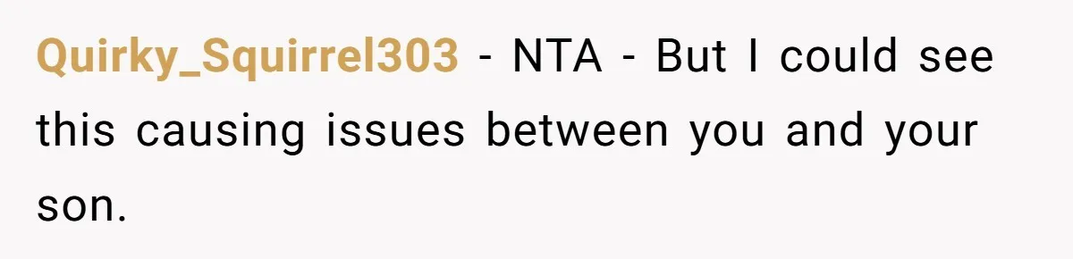 Quirky_Squirrel303 − NTA - But I could see this causing issues between you and your son.
