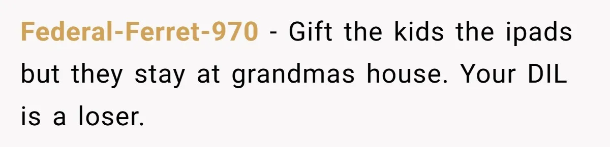 Federal-Ferret-970 − Gift the kids the ipads but they stay at grandmas house. Your DIL is a loser.