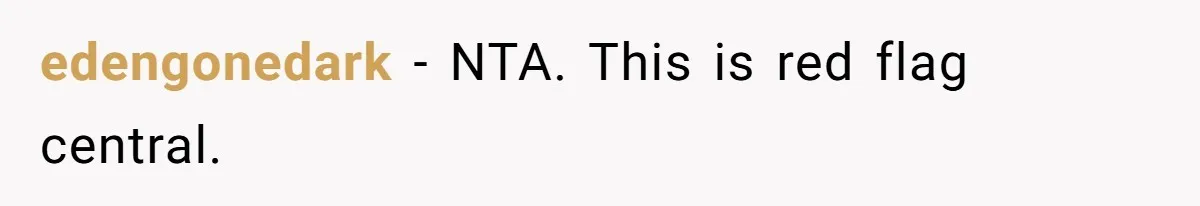 edengonedark − NTA. This is red flag central.