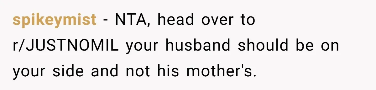 spikeymist − NTA, head over to r/JUSTNOMIL your husband should be on your side and not his mother's.