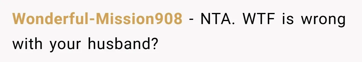 Wonderful-Mission908 − NTA. WTF is wrong with your husband?