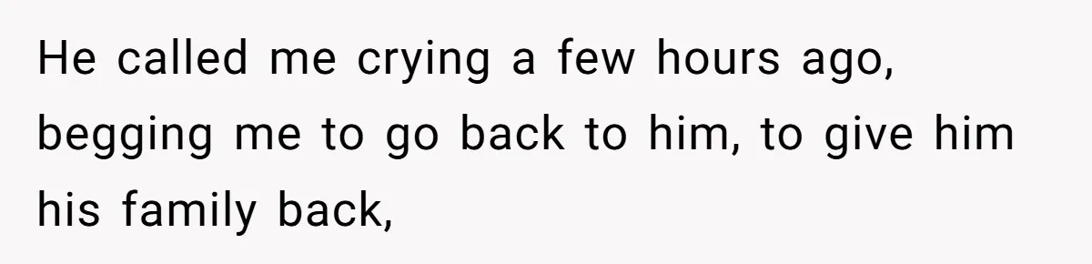 He called me crying a few hours ago, begging me to go back to him, to give him his family back,