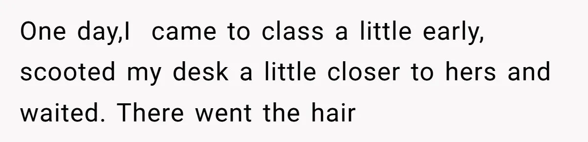 One day,I  came to class a little early, scooted my desk a little closer to hers and waited. There went the hair