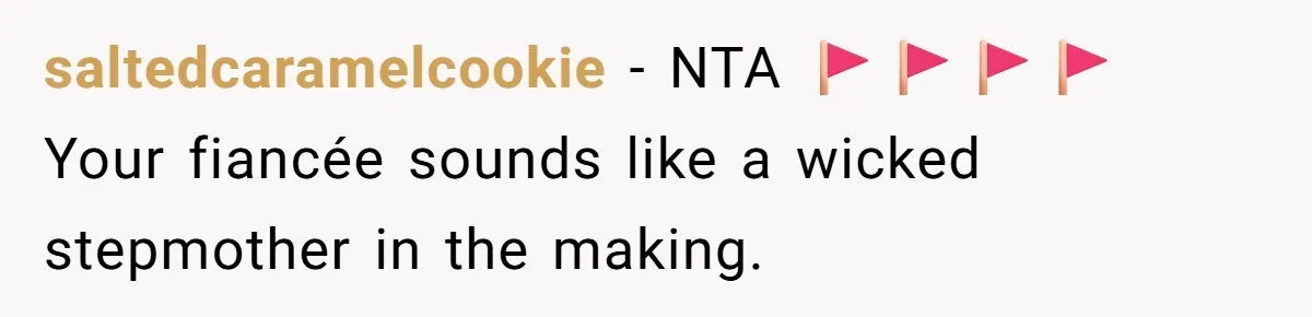 saltedcaramelcookie − NTA 🚩🚩🚩🚩 Your fiancée sounds like a wicked stepmother in the making.