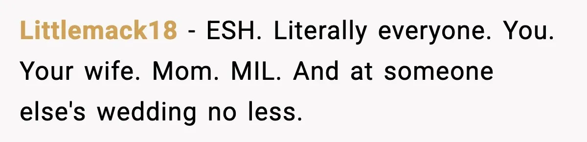Littlemack18 - ESH. Literally everyone. You. Your wife. Mom. MIL. And at someone else's wedding no less.