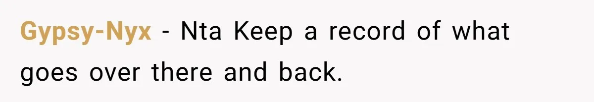 Gypsy-Nyx − Nta Keep a record of what goes over there and back.