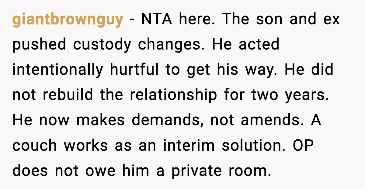giantbrownguy - NTA here. The son and ex pushed custody changes. He acted intentionally hurtful to get his way. He did not rebuild the relationship for two years. He now...