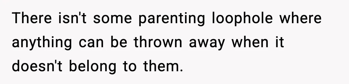 There isn't some parenting loophole where anything can be thrown away when it doesn't belong to them.