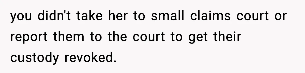 you didn't take her to small claims court or report them to the court to get their custody revoked.
