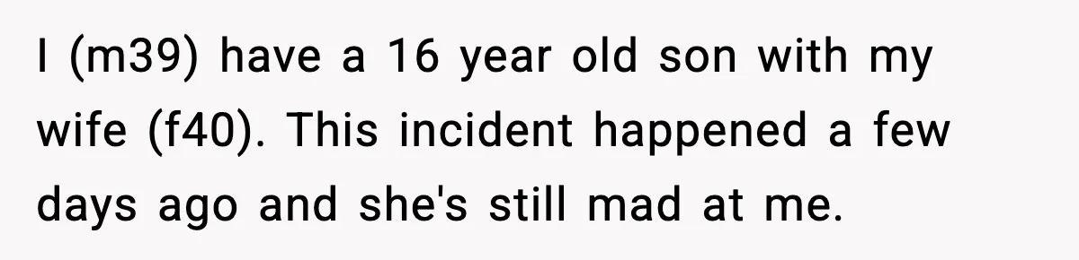 I (m39) have a 16 year old son with my wife (f40). This incident happened a few days ago and she's still mad at me.