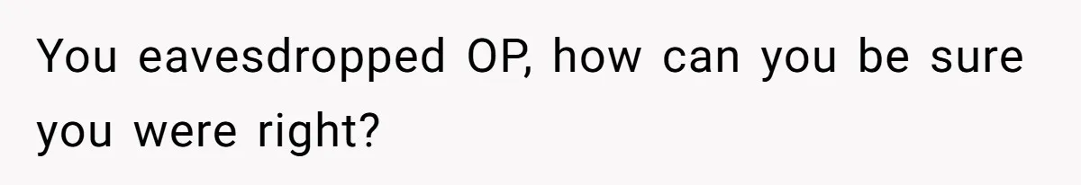 You eavesdropped OP, how can you be sure you were right?