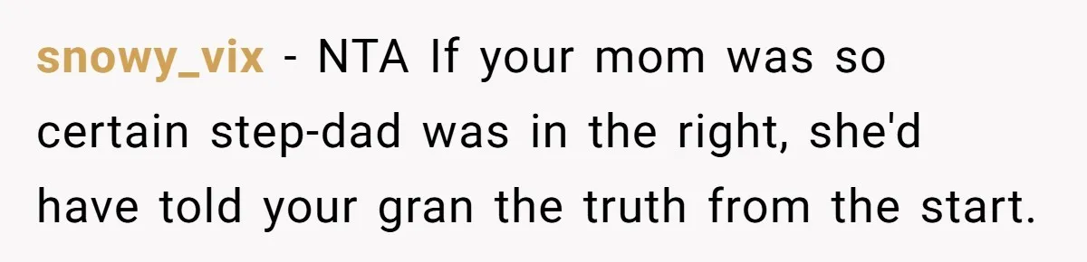snowy_vix − NTA If your mom was so certain step-dad was in the right, she'd have told your gran the truth from the start.