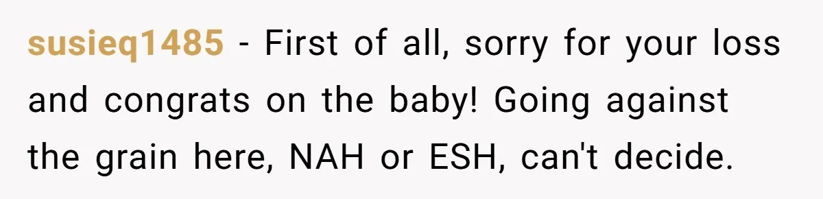 susieq1485 − First of all, sorry for your loss and congrats on the baby! Going against the grain here, NAH or ESH, can't decide.