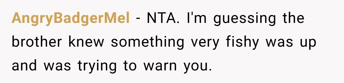 AngryBadgerMel − NTA. I'm guessing the brother knew something very fishy was up and was trying to warn you.