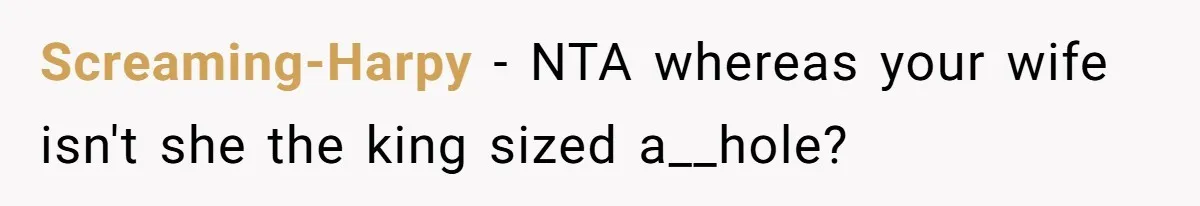Screaming-Harpy − NTA whereas your wife isn't she the king sized a__hole?