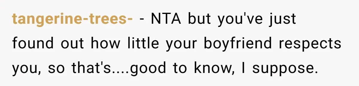 tangerine-trees- − NTA but you've just found out how little your boyfriend respects you, so that's....good to know, I suppose.