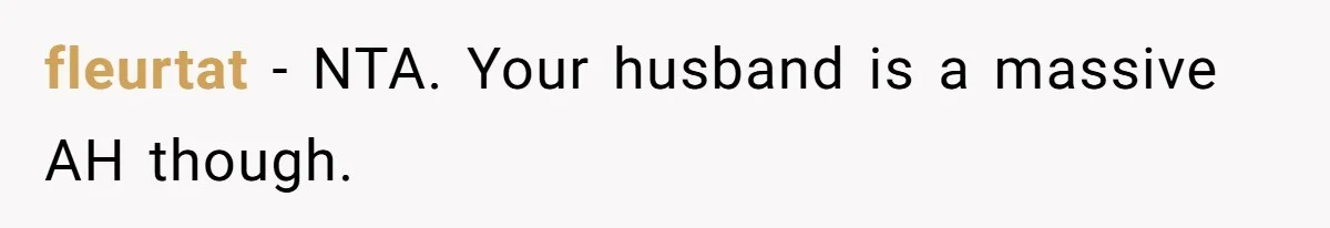 fleurtat − NTA. Your husband is a massive AH though.