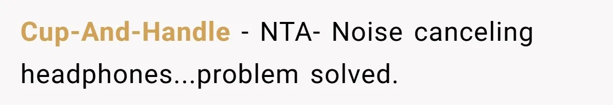 Cup-And-Handle − NTA- Noise canceling headphones...problem solved.