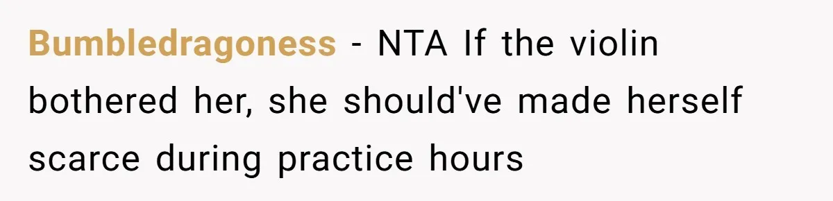 Bumbledragoness − NTA If the violin bothered her, she should've made herself scarce during practice hours