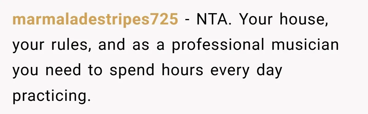 marmaladestripes725 − NTA. Your house, your rules, and as a professional musician you need to spend hours every day practicing.