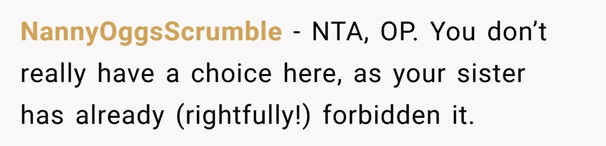 NannyOggsScrumble − NTA, OP. You don’t really have a choice here, as your sister has already (rightfully!) forbidden it.