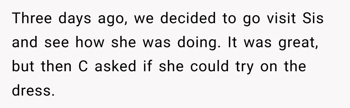 Three days ago, we decided to go visit Sis and see how she was doing. It was great, but then C asked if she could try on the dress.