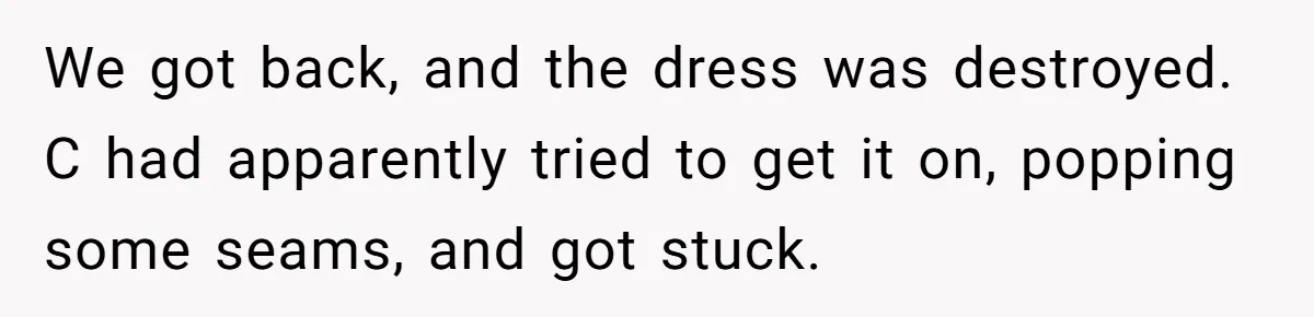 We got back, and the dress was destroyed. C had apparently tried to get it on, popping some seams, and got stuck.