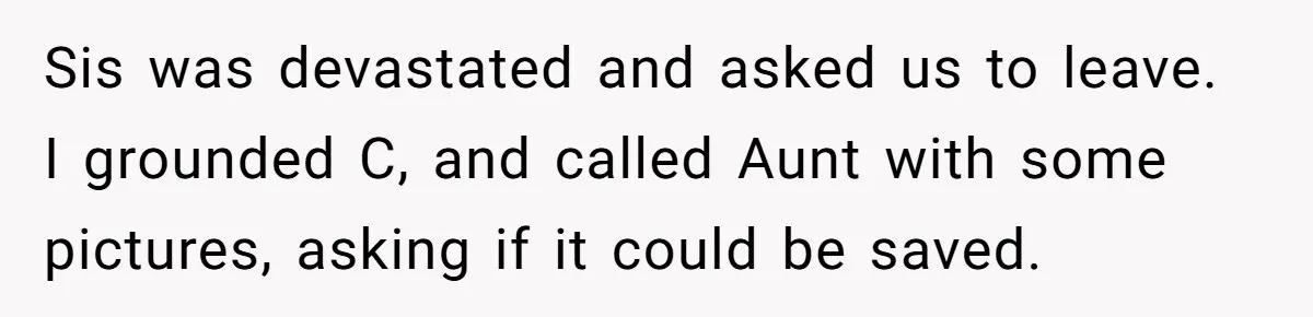 Sis was devastated and asked us to leave. I grounded C, and called Aunt with some pictures, asking if it could be saved.