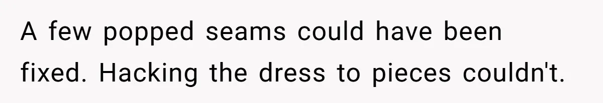 A few popped seams could have been fixed. Hacking the dress to pieces couldn't.