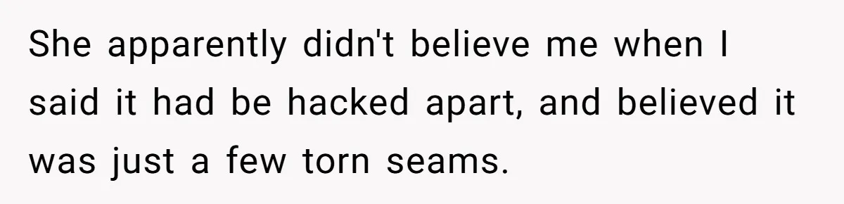 She apparently didn't believe me when I said it had be hacked apart, and believed it was just a few torn seams.