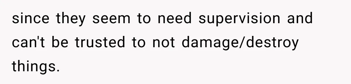 since they seem to need supervision and can't be trusted to not damage/destroy things.